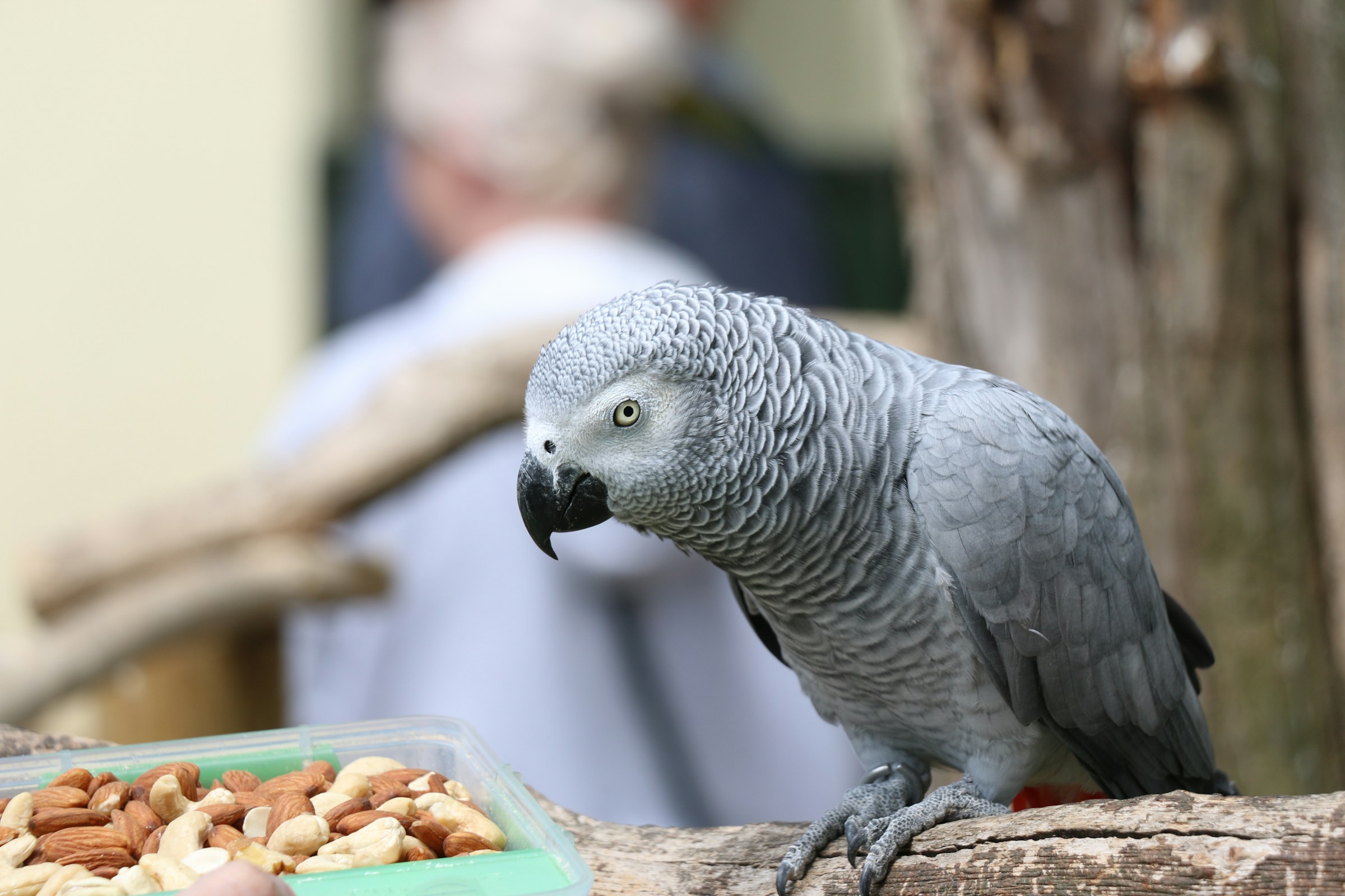 magasin pour animaux